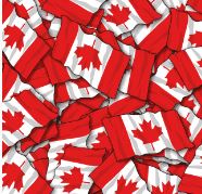 Canadian flag 12" X 36" HTV PATTERNS